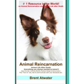 Animal Reincarnation: Everything You Always Wanted to Know! about Pet Reincarnation plus "how to" techniques to see, feel & communicate with - Paperback | Books | Wiccan Center