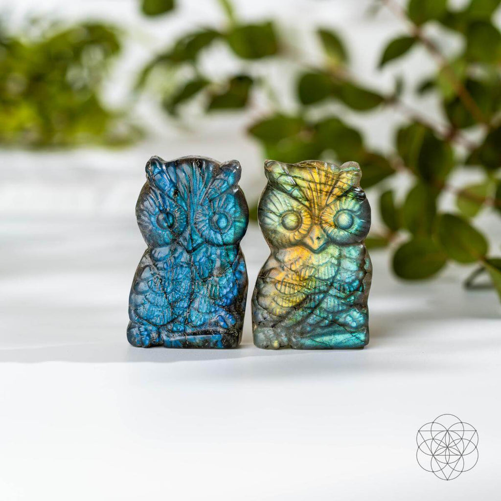 Token of Wisdom - Labradorite Owl Talisman | Crystal Heart | Wiccan Center