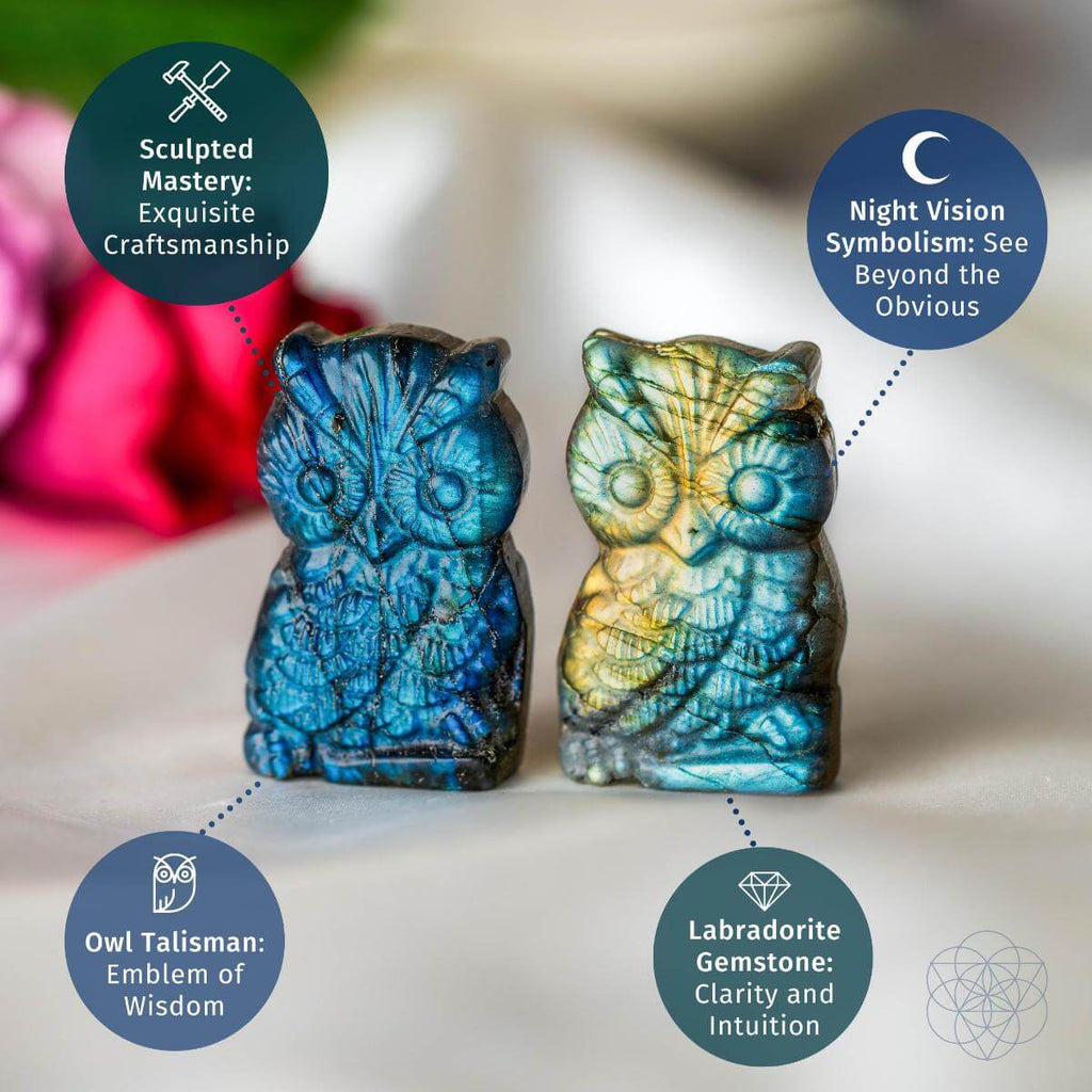 Token of Wisdom - Labradorite Owl Talisman | Crystal Heart | Wiccan Center