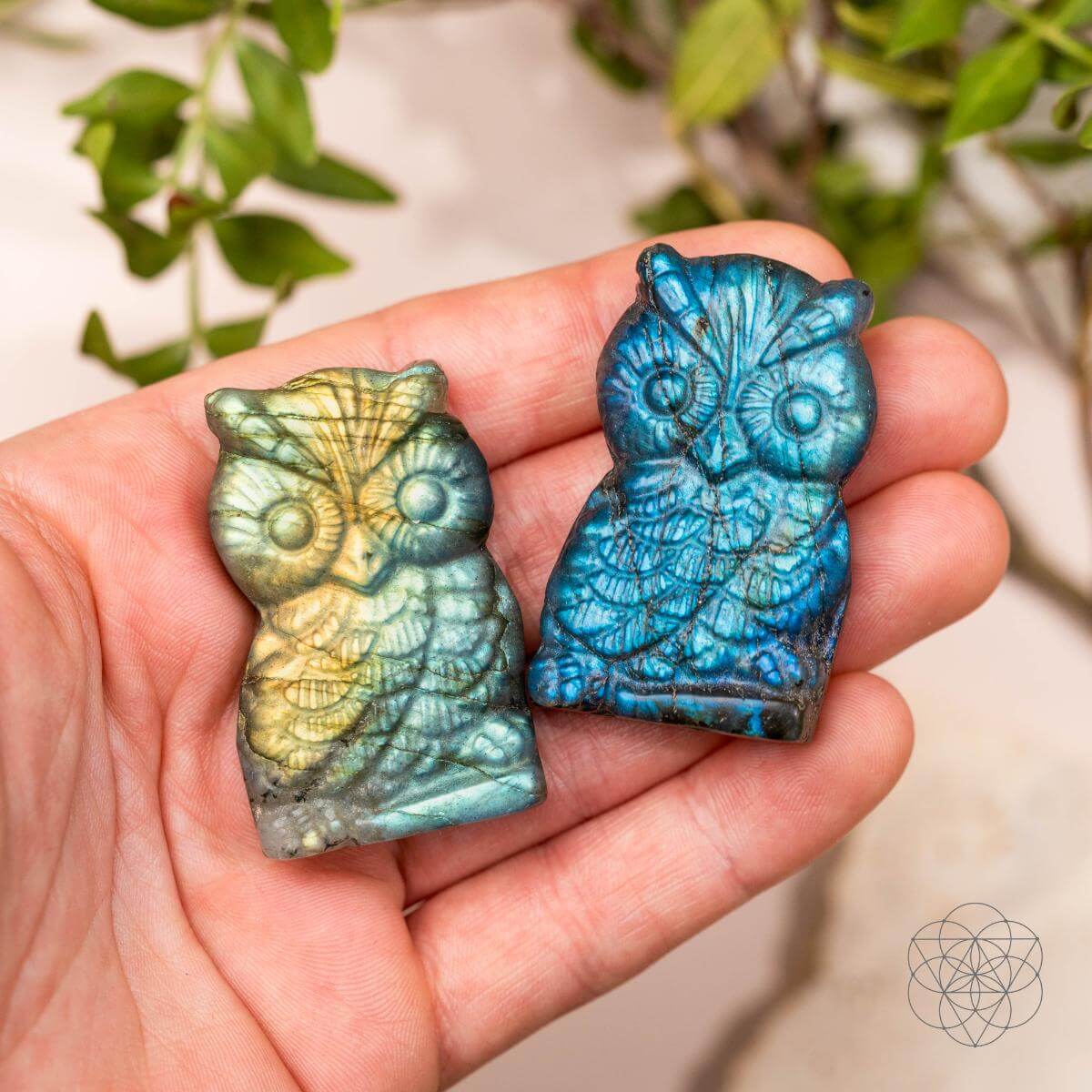Token of Wisdom - Labradorite Owl Talisman | Crystal Heart | Wiccan Center