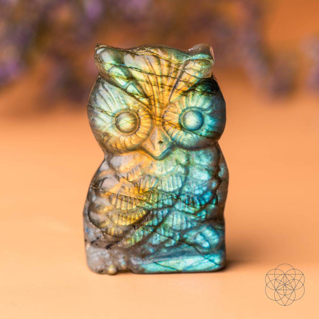 Token of Wisdom - Labradorite Owl Talisman | Crystal Heart | Wiccan Center