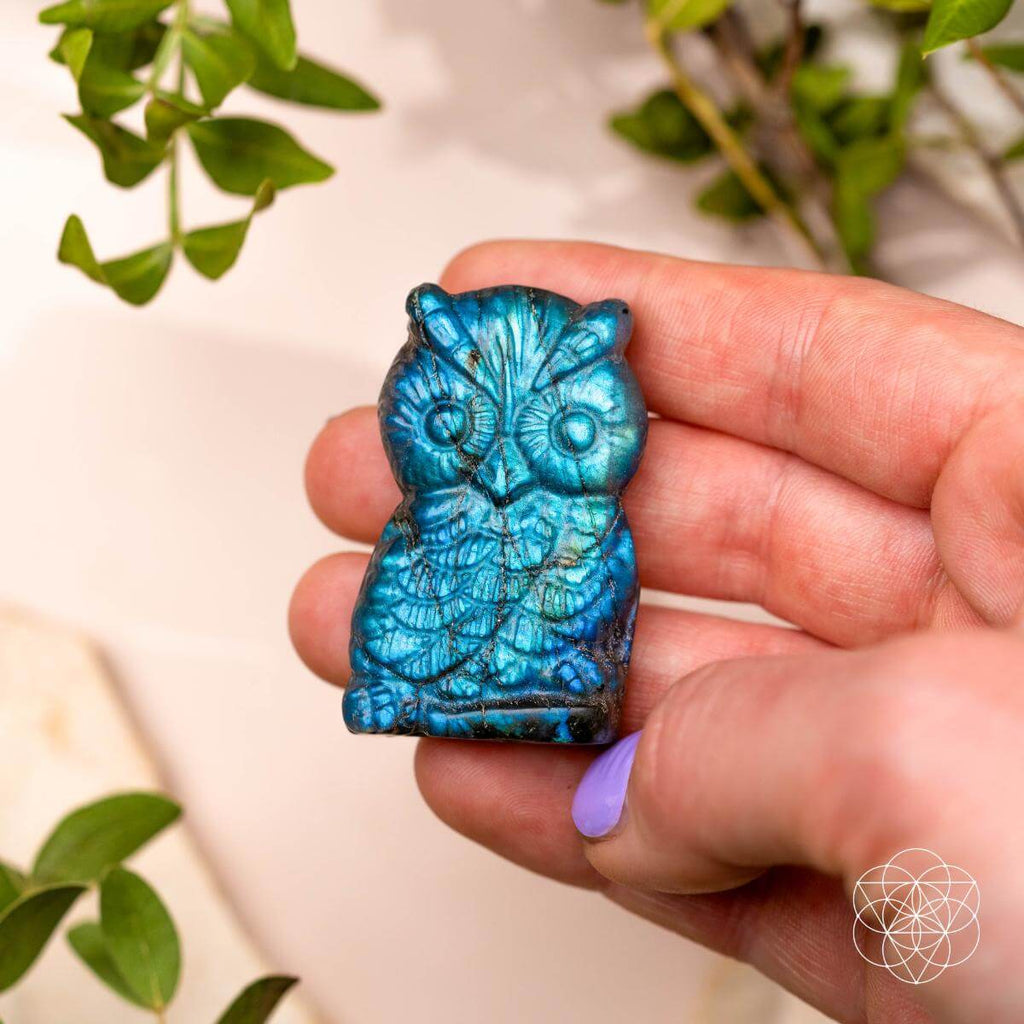 Token of Wisdom - Labradorite Owl Talisman | Crystal Heart | Wiccan Center