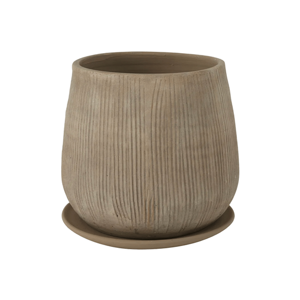 Toki Pot