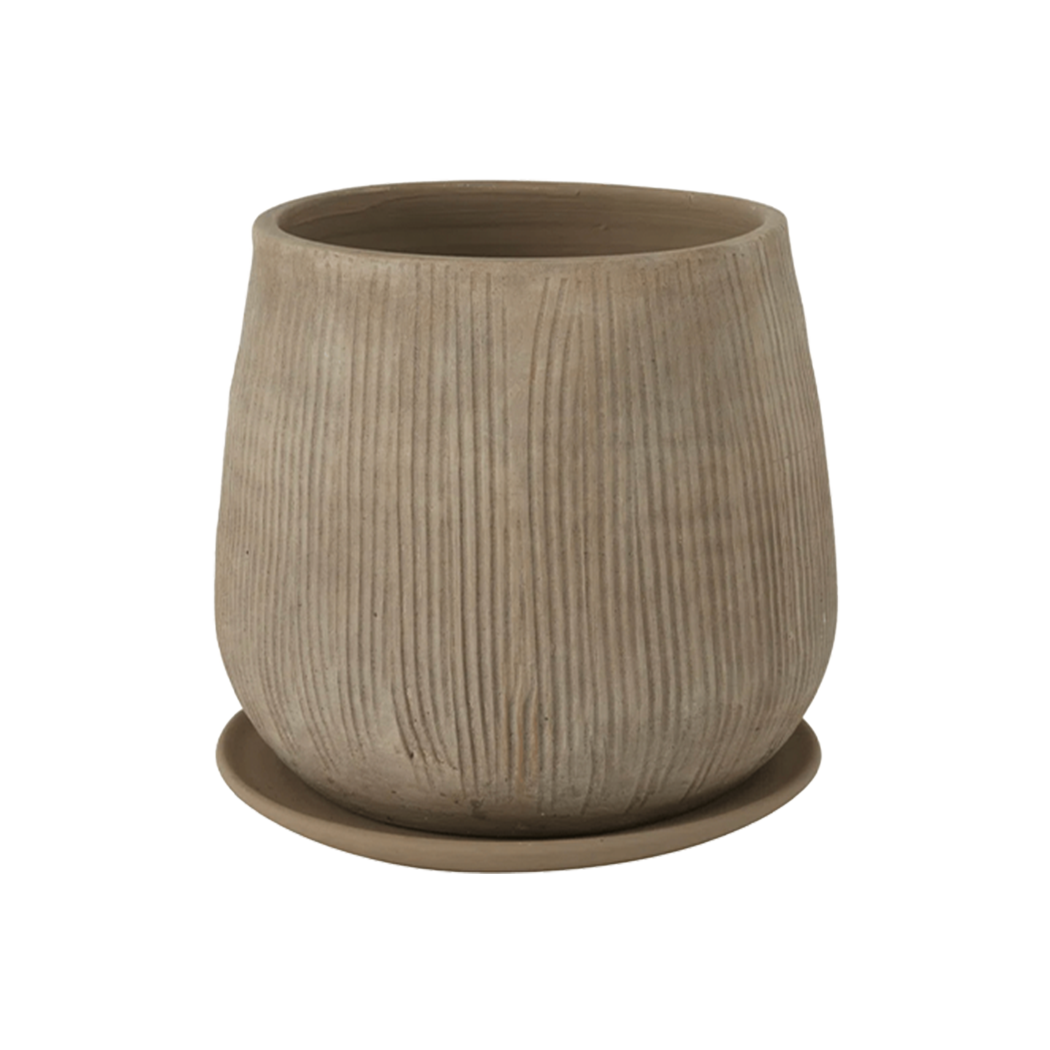 Toki Pot