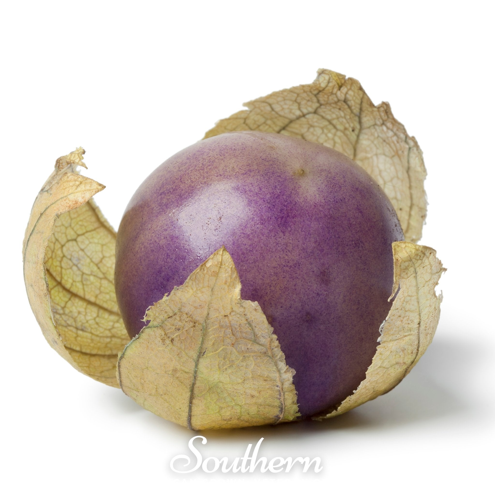 Purple Tomatillo – 30 Seeds | Seeds | Wiccan Center