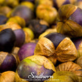 Purple Tomatillo – 30 Seeds | Seeds | Wiccan Center