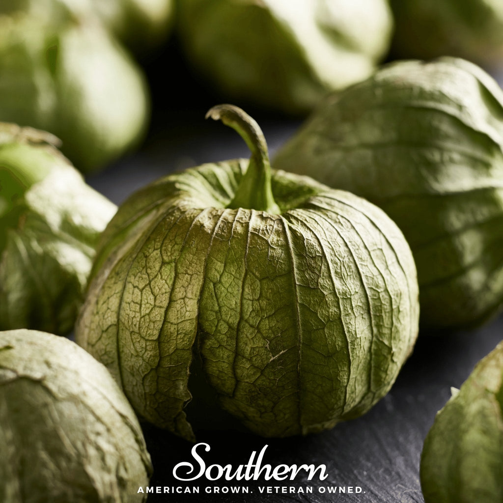 Verde Rio Grande Tomatillo – 50 Seeds | Seeds | Wiccan Center