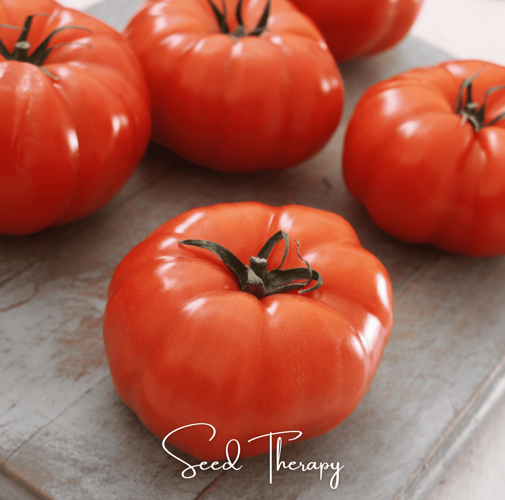Beefsteak Tomato – 30 Seeds | Seeds | Wiccan Center