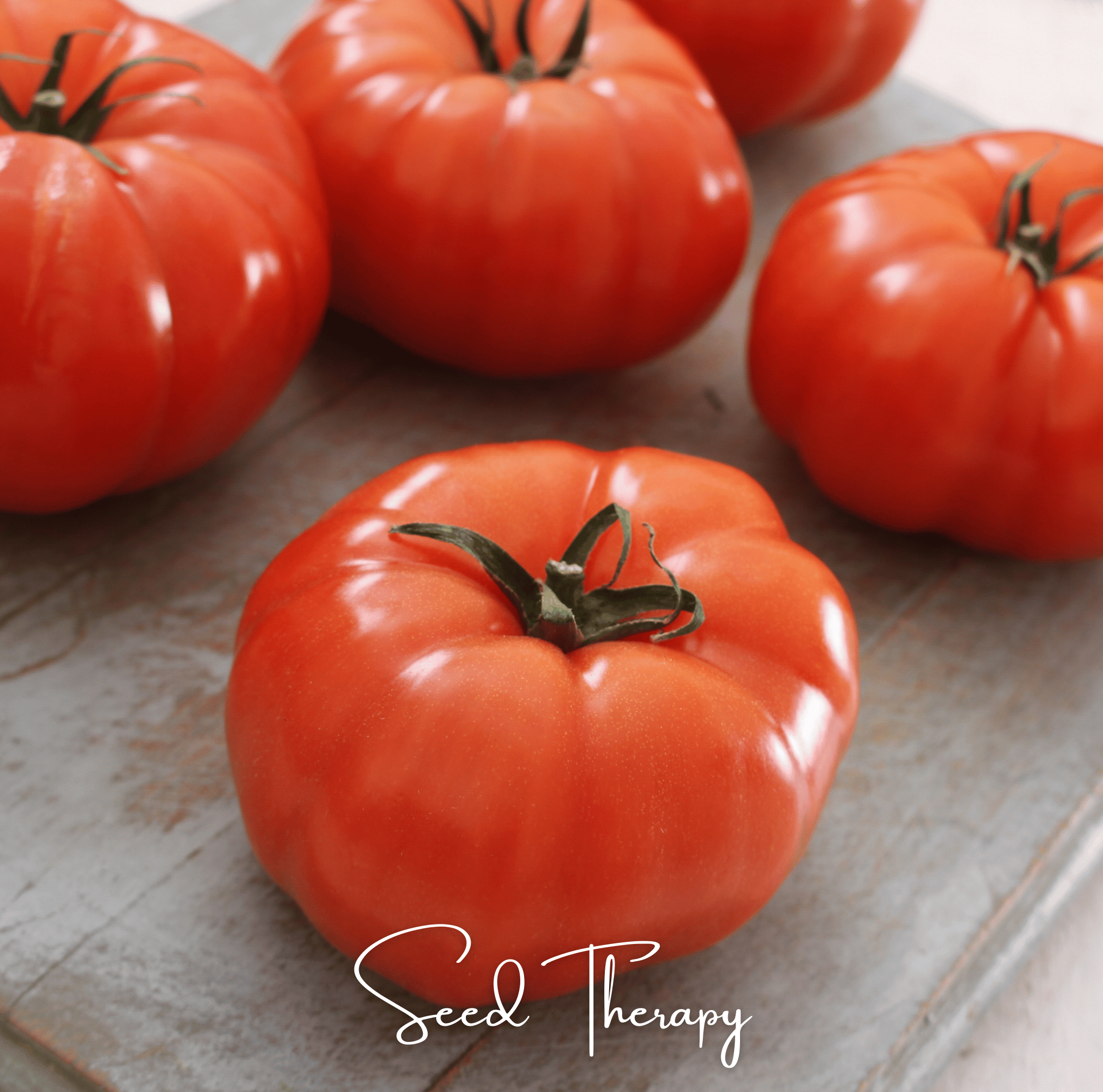 Beefsteak Tomato – 30 Seeds | Seeds | Wiccan Center