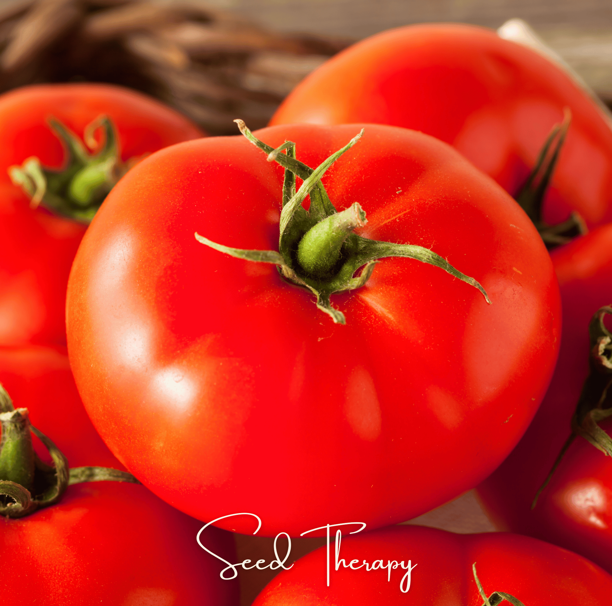 Beefsteak Tomato – 30 Seeds | Seeds | Wiccan Center
