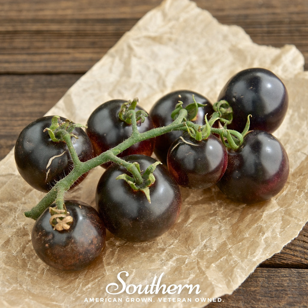 Black Cherry Tomato – 20 Seeds | Seeds | Wiccan Center