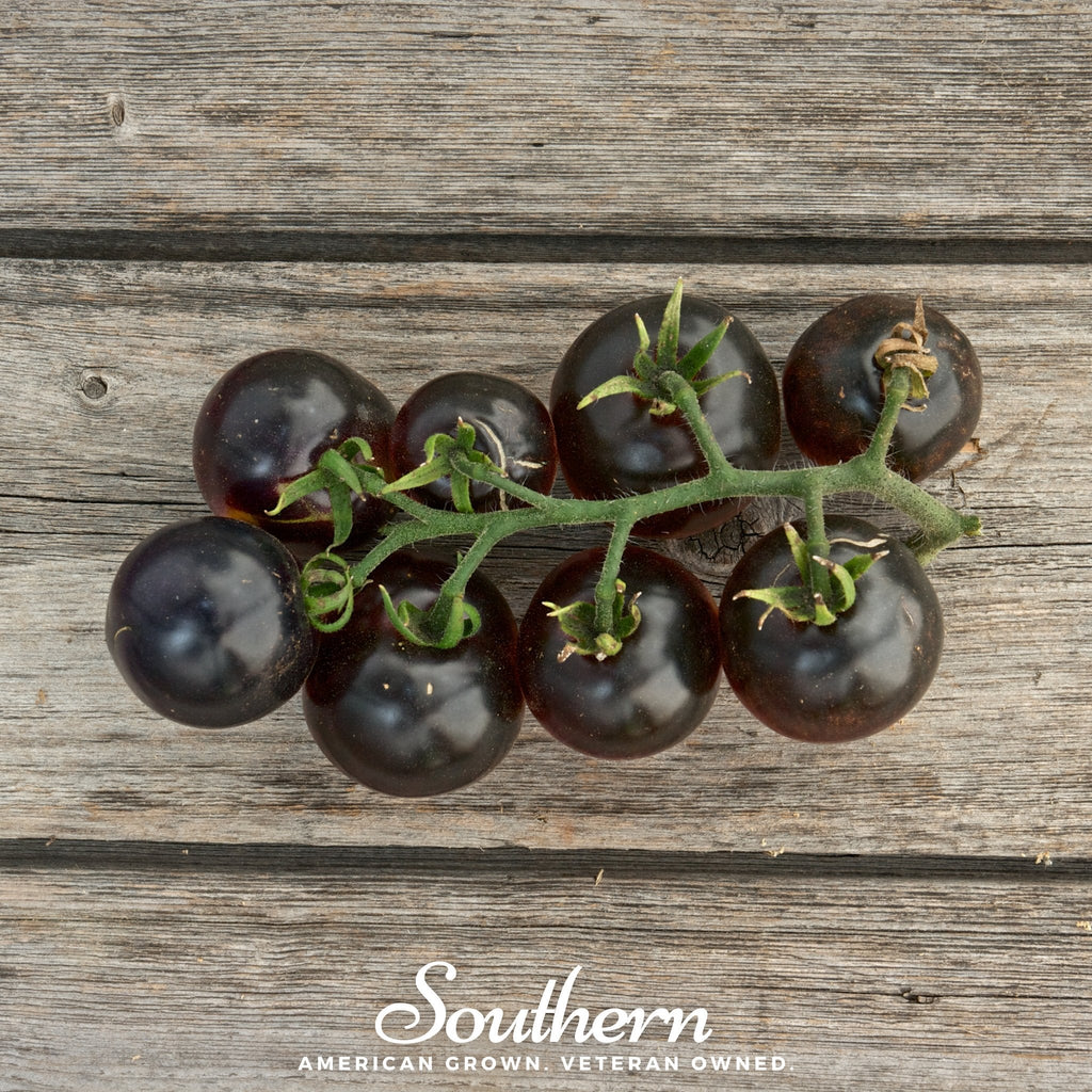 Black Cherry Tomato – 20 Seeds | Seeds | Wiccan Center