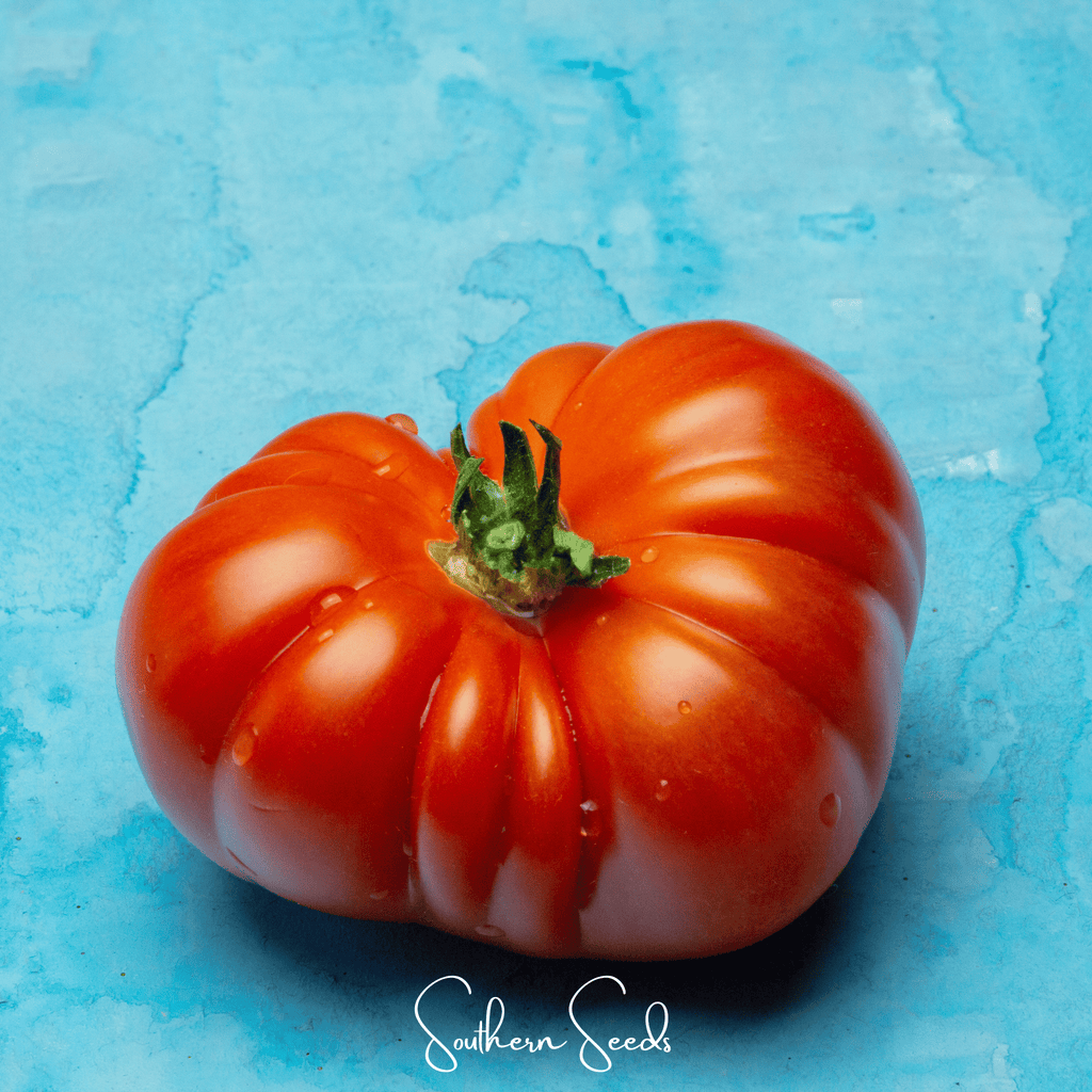 Red Brandywine Tomato – 50 Seeds | Seeds | Wiccan Center
