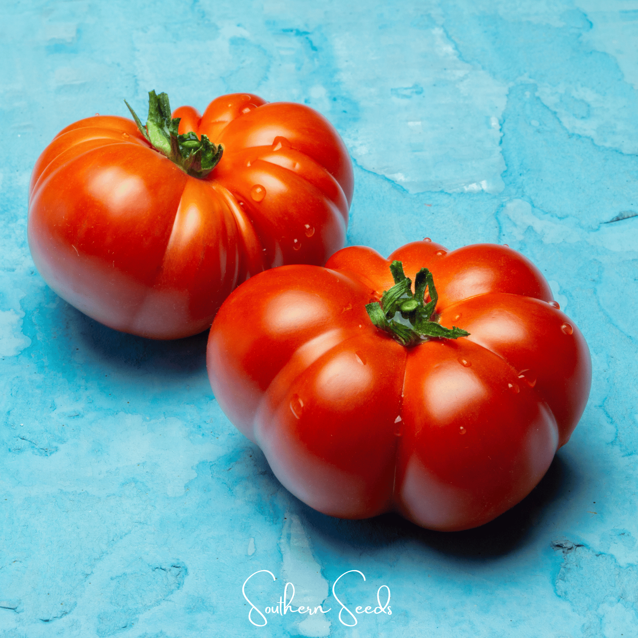 Red Brandywine Tomato – 50 Seeds | Seeds | Wiccan Center
