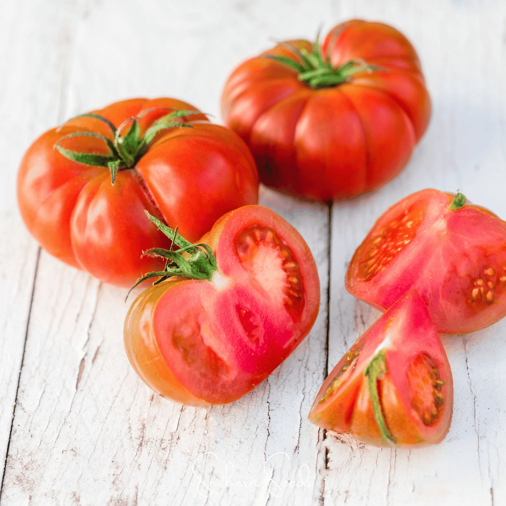Red Brandywine Tomato – 50 Seeds | Seeds | Wiccan Center
