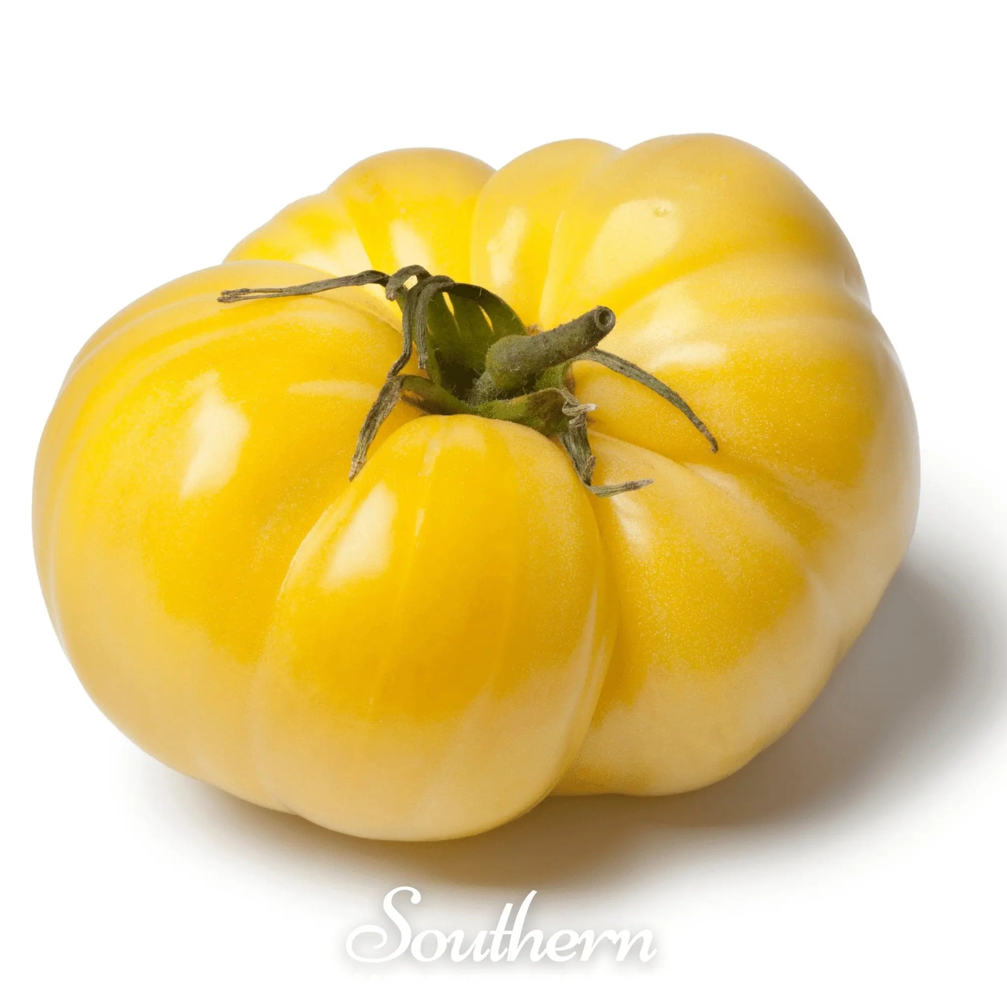 Yellow Brandywine Tomato – 50 Seeds | Seeds | Wiccan Center