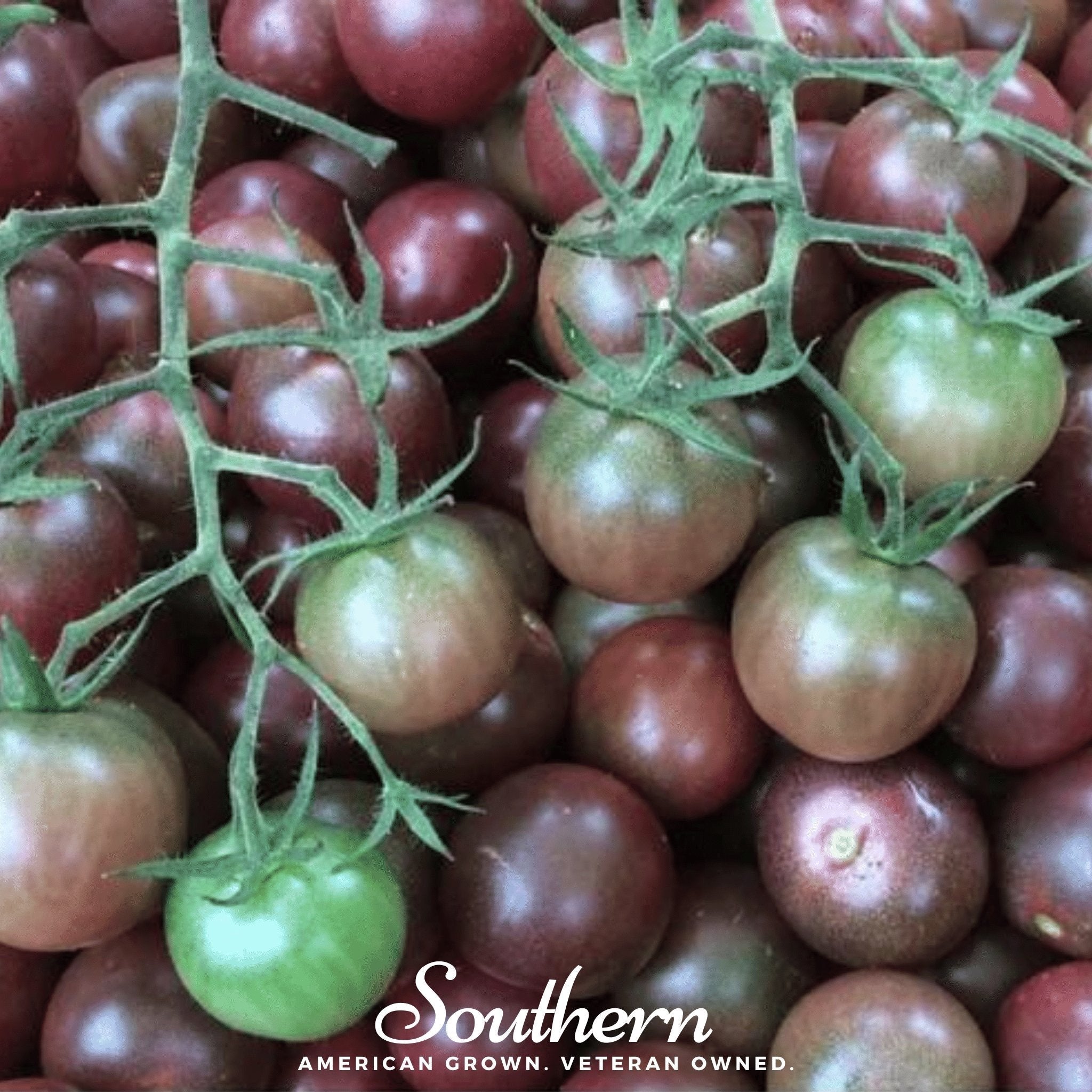 Chocolate Cherry Tomato – 25 Seeds | Seeds | Wiccan Center