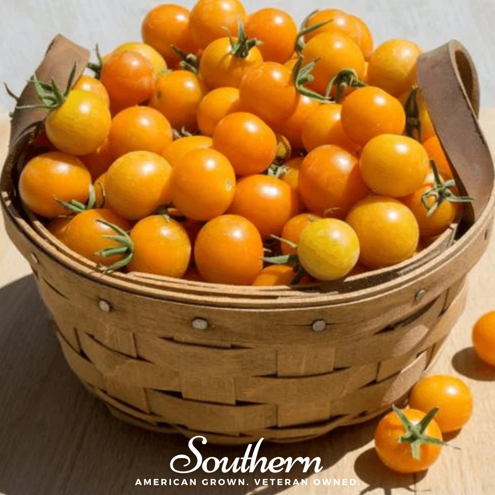 Gold Nugget Tomato – 50 Seeds | Seeds | Wiccan Center
