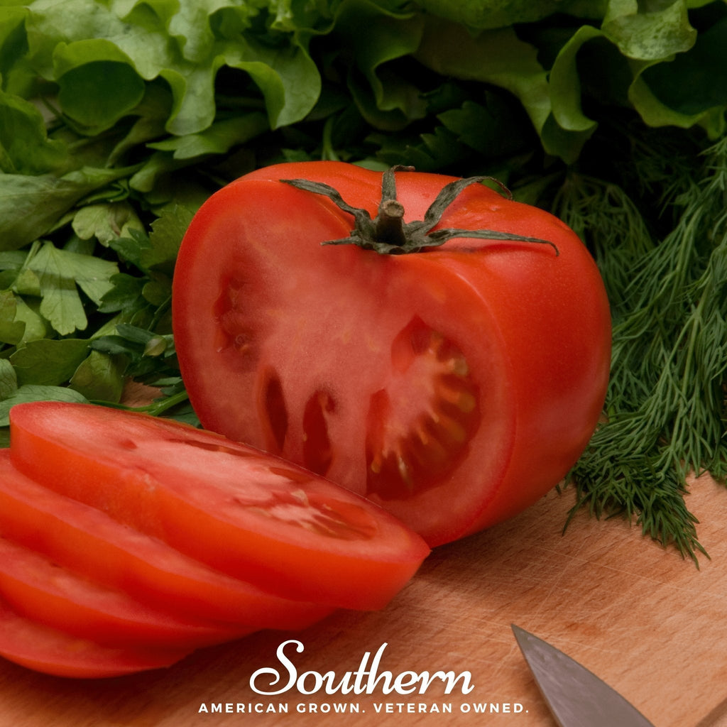 Homestead Tomato – 50 Seeds | Seeds | Wiccan Center