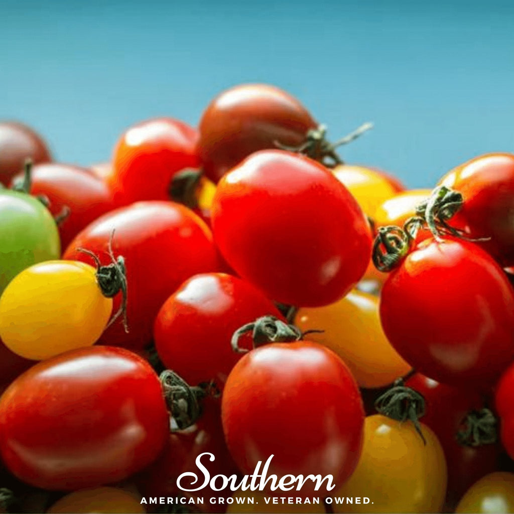 Rainbow Cherry Tomato – 50 Seeds | Seeds | Wiccan Center