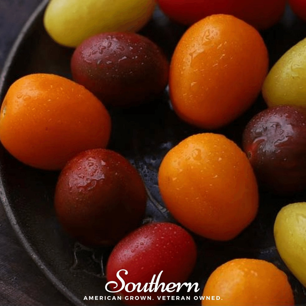 Rainbow Cherry Tomato – 50 Seeds | Seeds | Wiccan Center