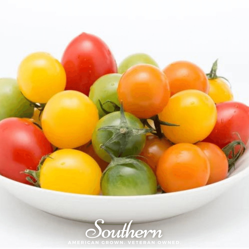 Rainbow Cherry Tomato – 50 Seeds | Seeds | Wiccan Center