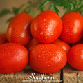 Roma VF Tomato – 50 Seeds | Seeds | Wiccan Center