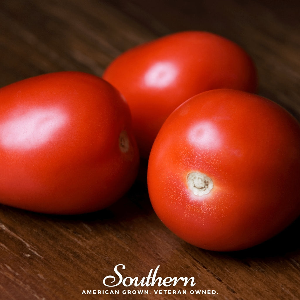 Roma VF Tomato – 50 Seeds | Seeds | Wiccan Center