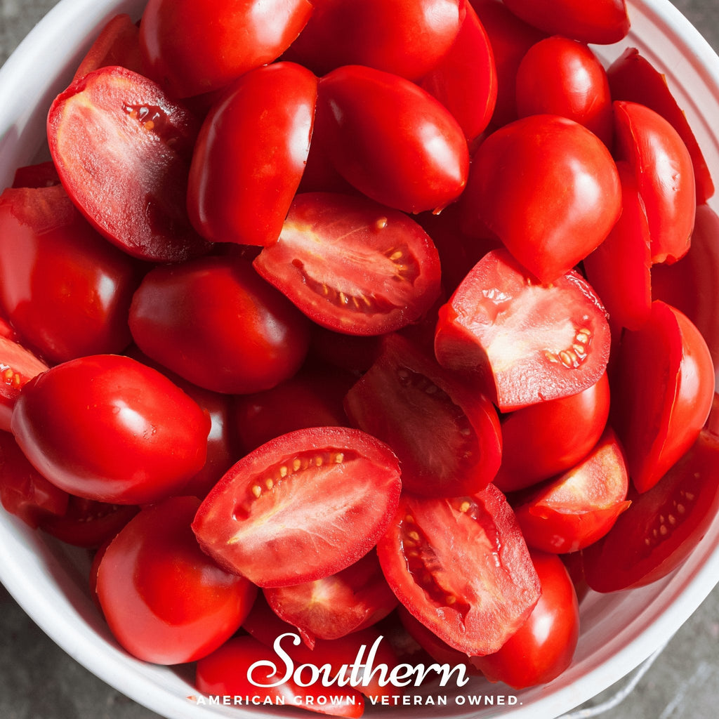 Roma VF Tomato – 50 Seeds | Seeds | Wiccan Center