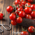 Small Red Cherry Tomato – 50 Seeds | Seeds | Wiccan Center