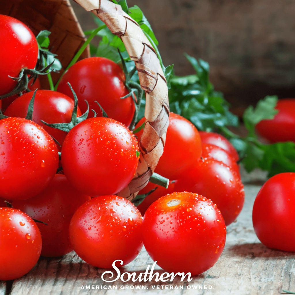 Small Red Cherry Tomato – 50 Seeds | Seeds | Wiccan Center