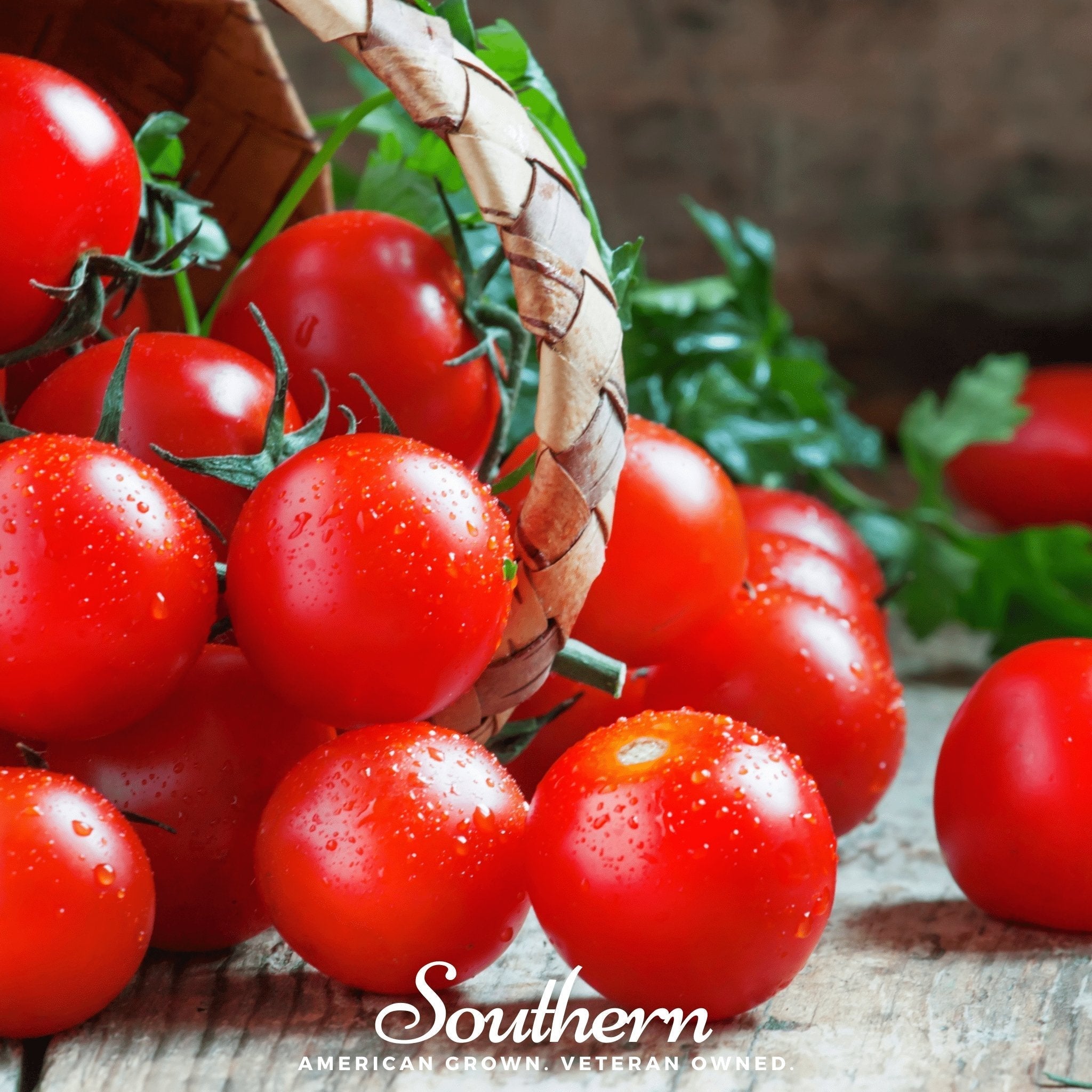 Small Red Cherry Tomato – 50 Seeds | Seeds | Wiccan Center