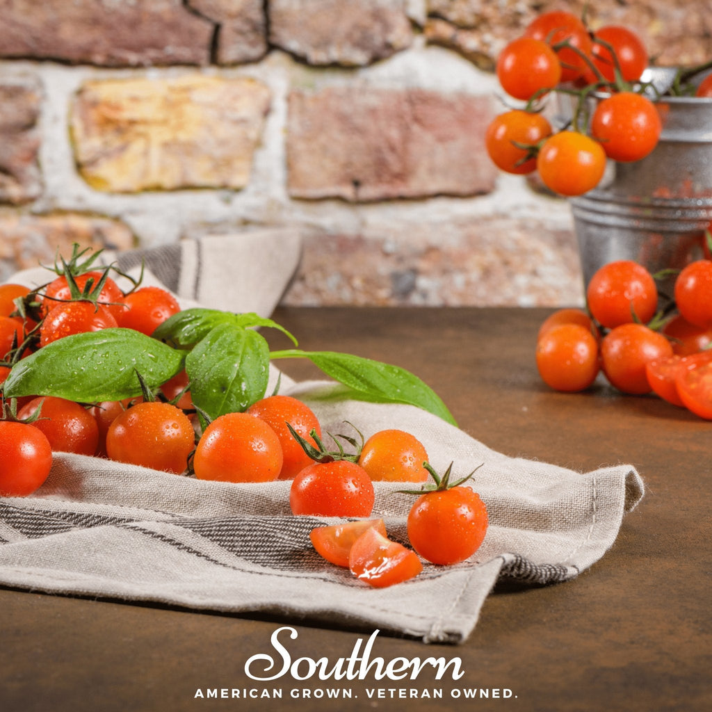 Small Red Cherry Tomato – 50 Seeds | Seeds | Wiccan Center