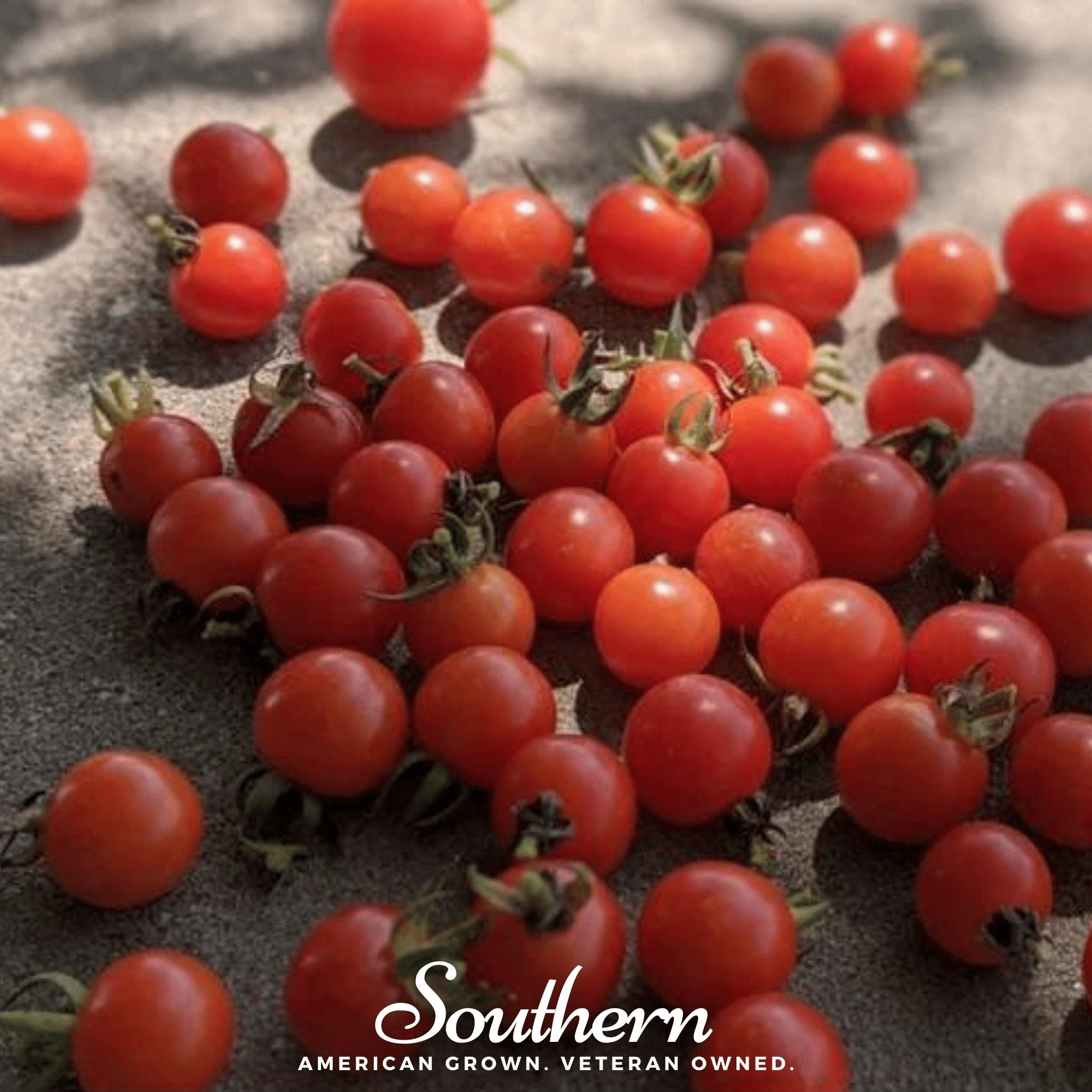 Sweetie Tomato – 50 Seeds | Seeds | Wiccan Center
