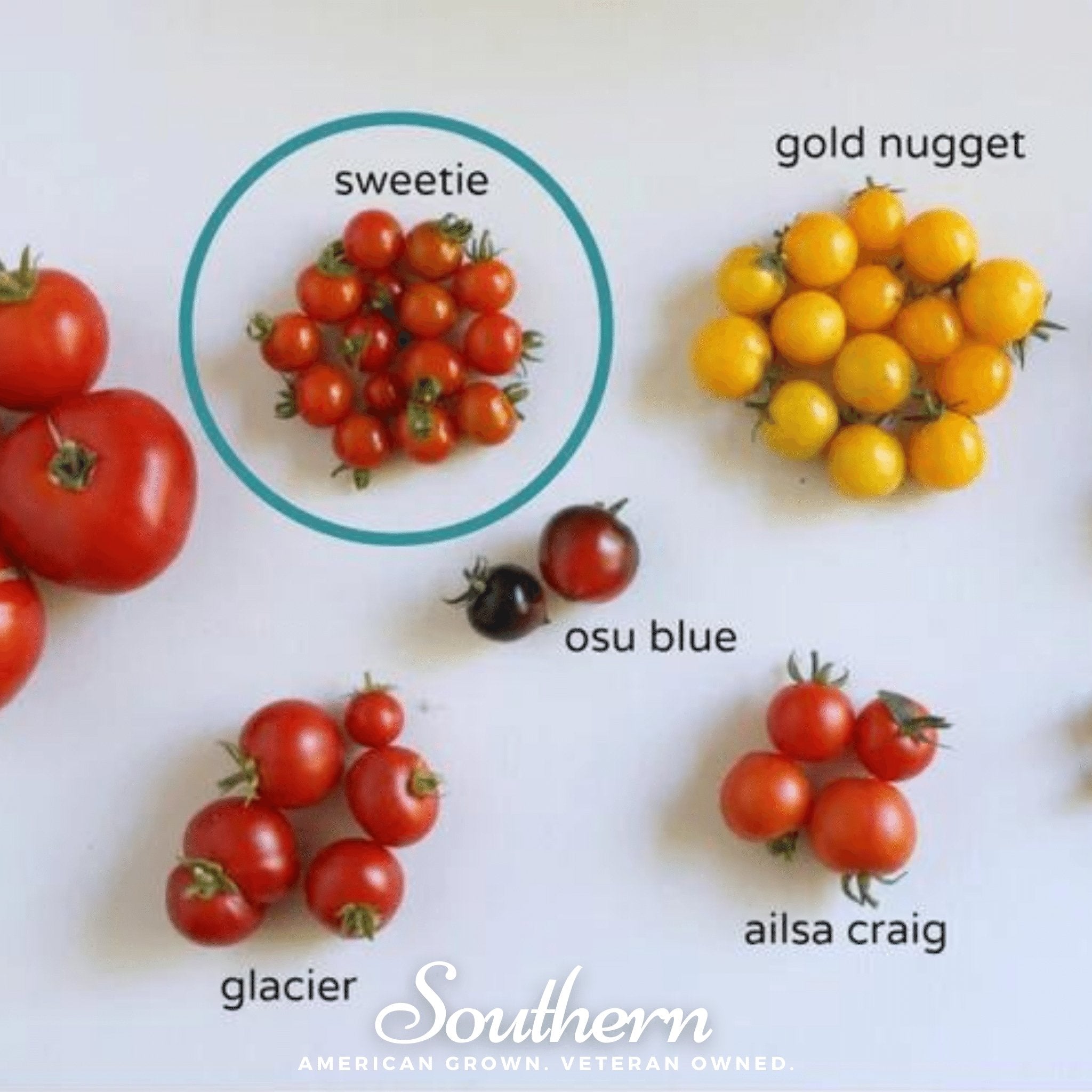 Sweetie Tomato – 50 Seeds | Seeds | Wiccan Center