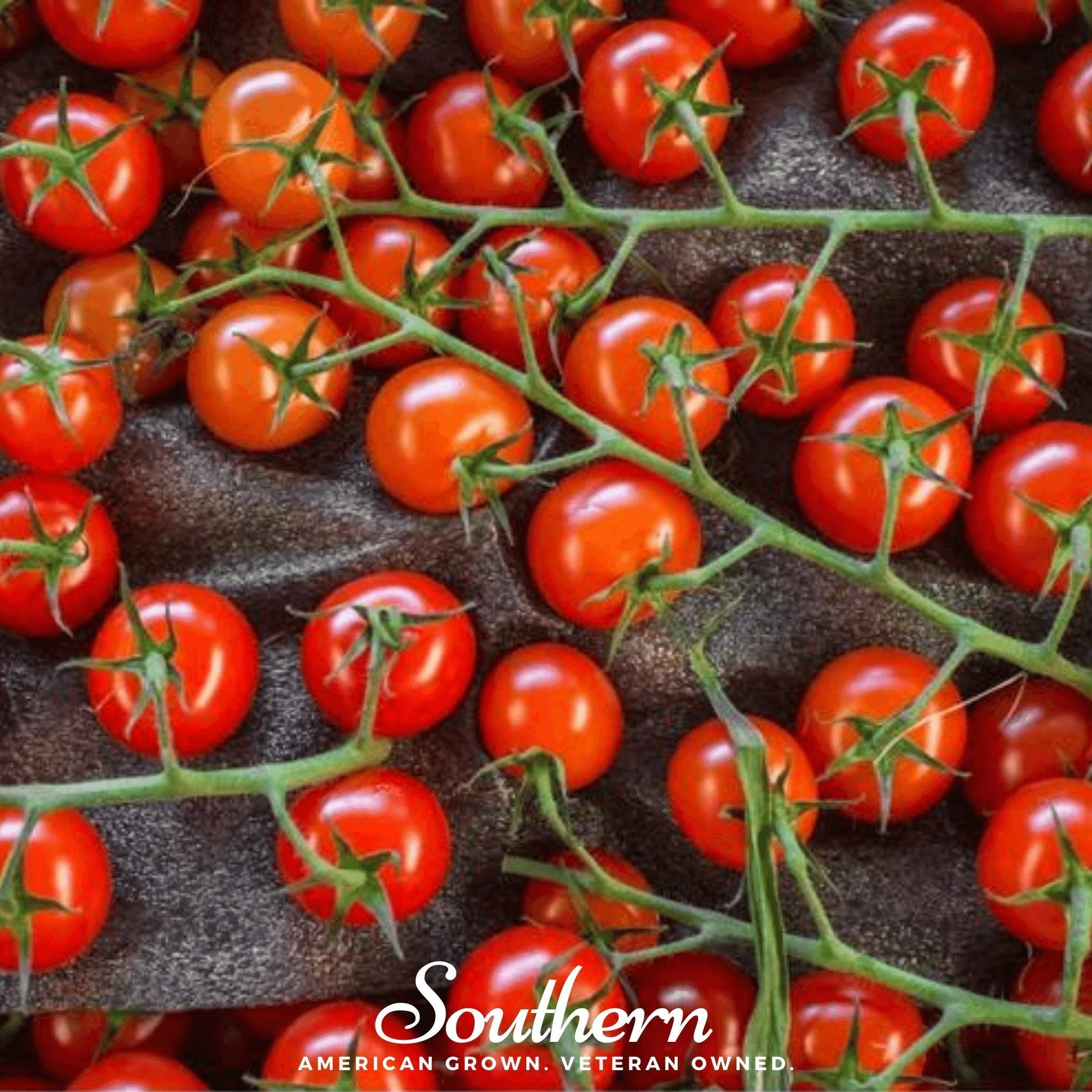 Sweetie Tomato – 50 Seeds | Seeds | Wiccan Center