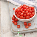 World's Smallest Tomato – Tomberry – 25 Seeds | Seeds | Wiccan Center