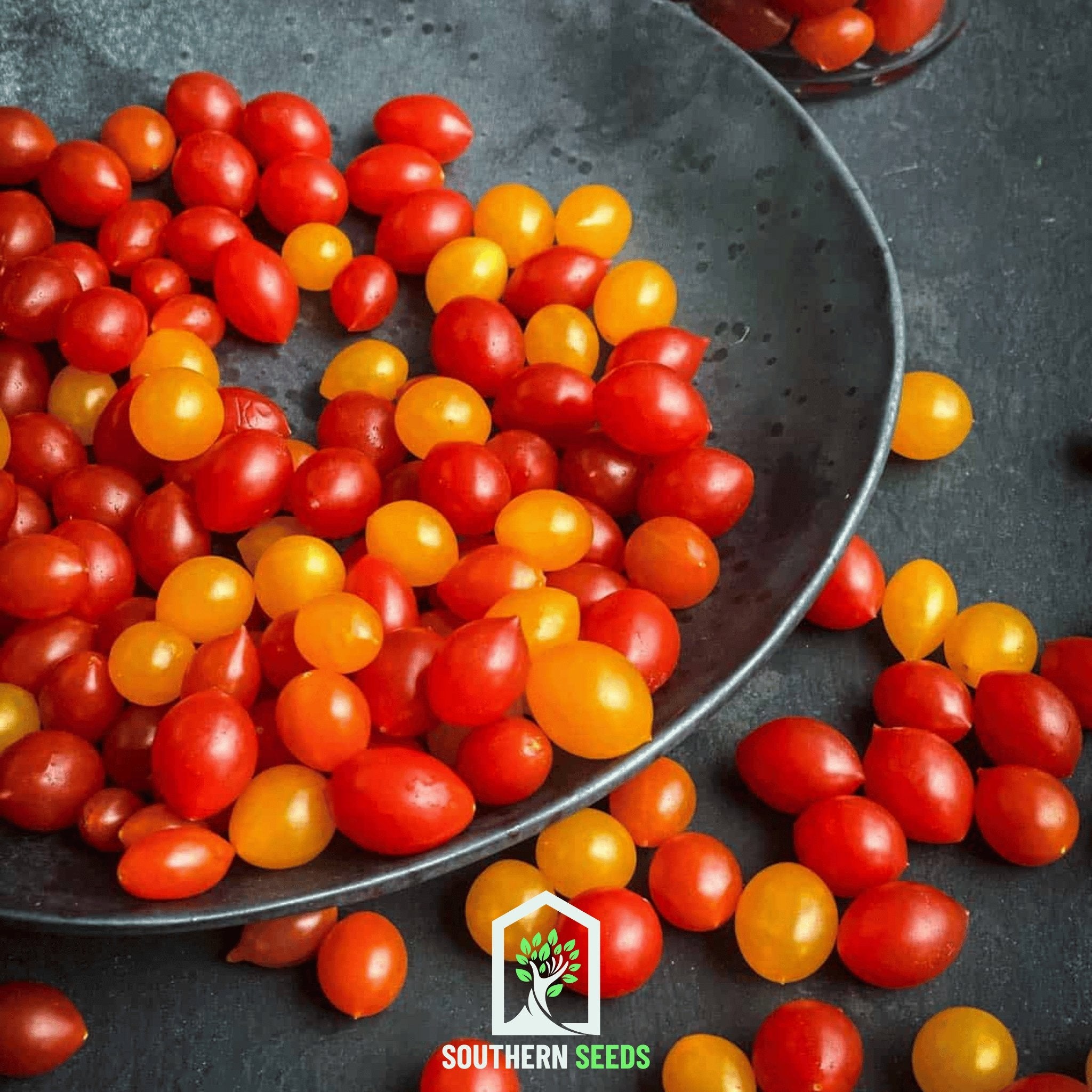 World's Smallest Tomato – Tomberry – 25 Seeds | Seeds | Wiccan Center