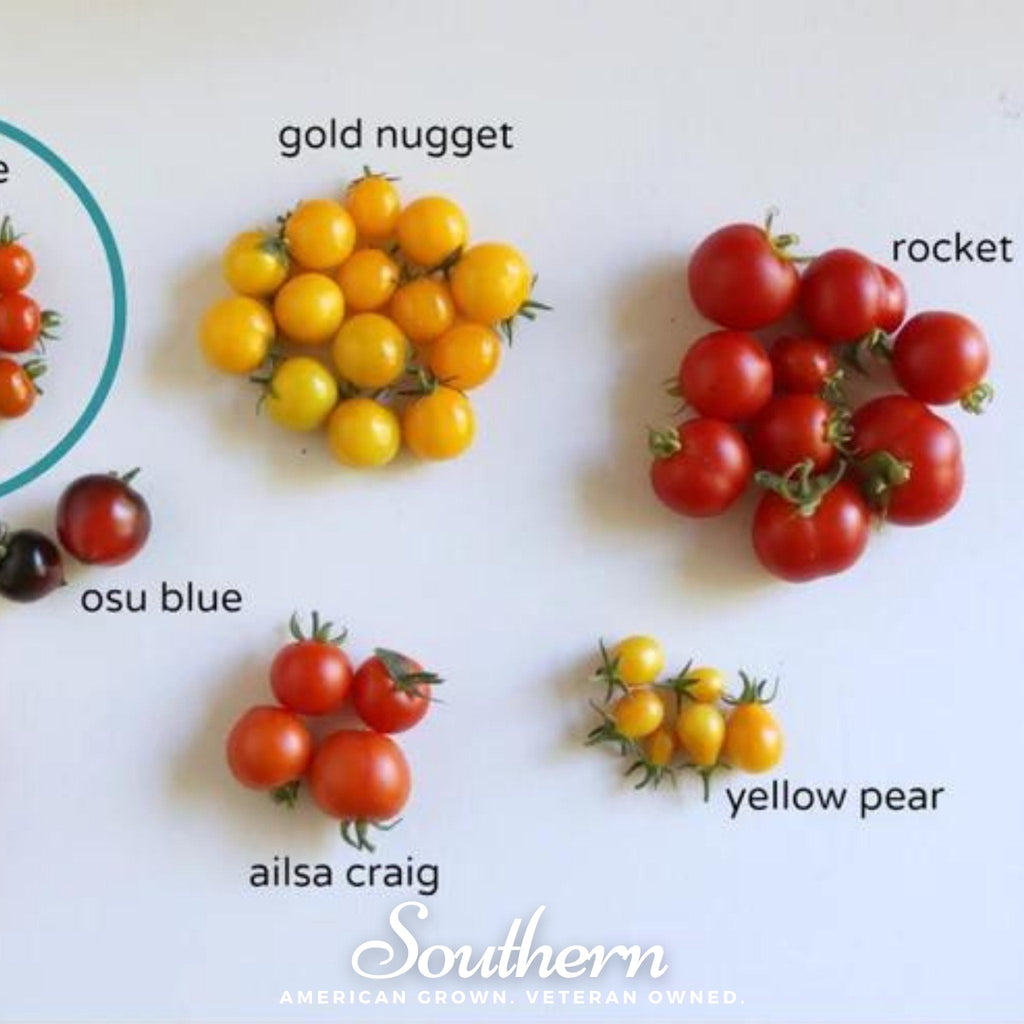 Yellow Pear Tomato – 50 Seeds | Seeds | Wiccan Center