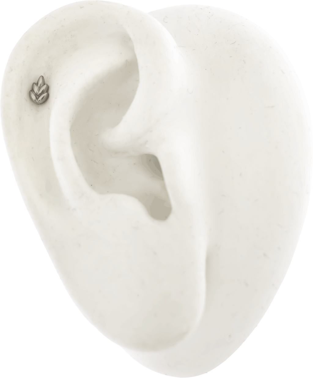 16G/18G Steel Internally Threaded End- Leaf | Body Jewelry | Wiccan Center
