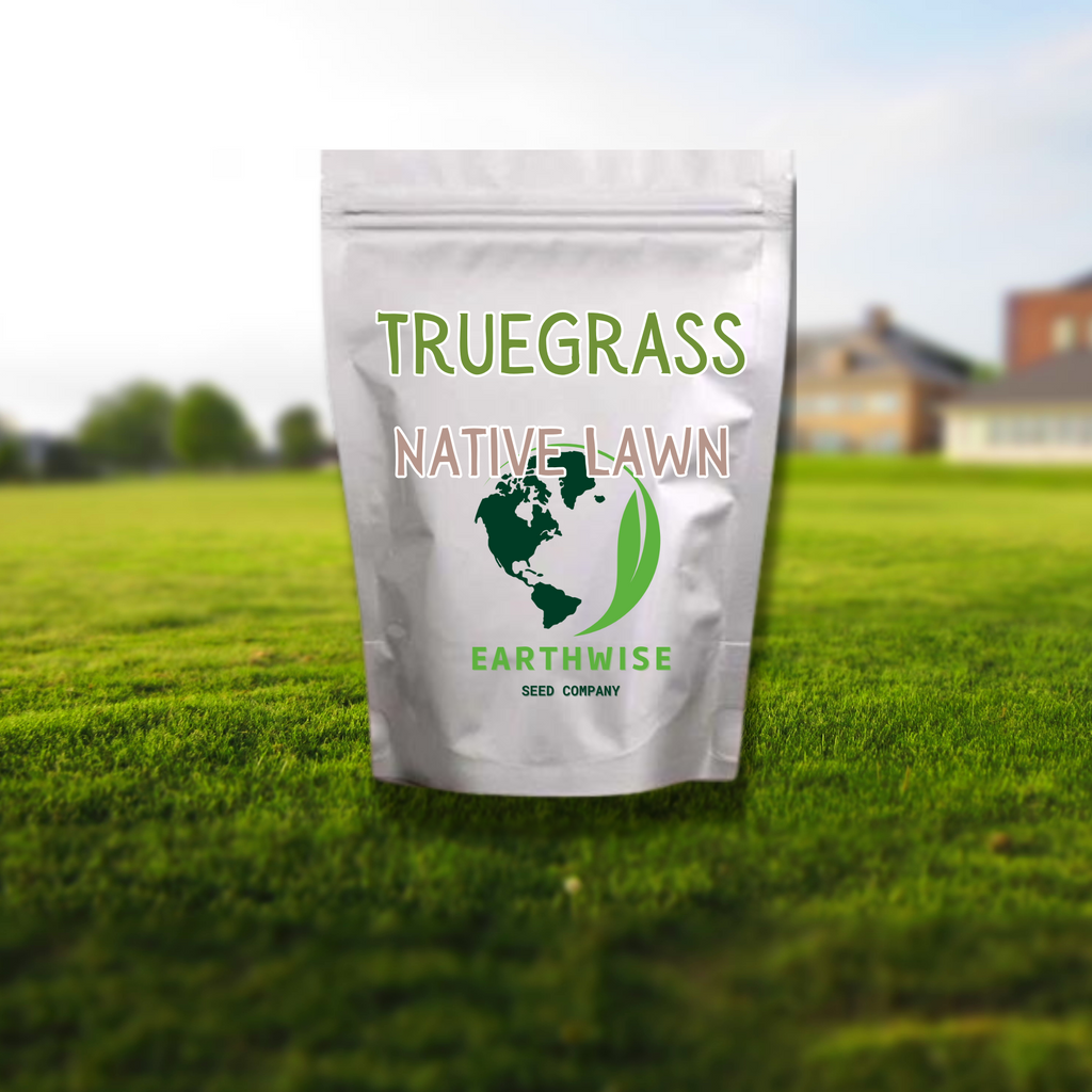 TrueGrass Native Grass Seed - The No Maintenance Native Lawn, Drought-Tolerant, Eco-Friendly Grass Blend | | Wiccan Center