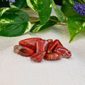 Red Jasper Tumbled 1lb | Crystals | Wiccan Center