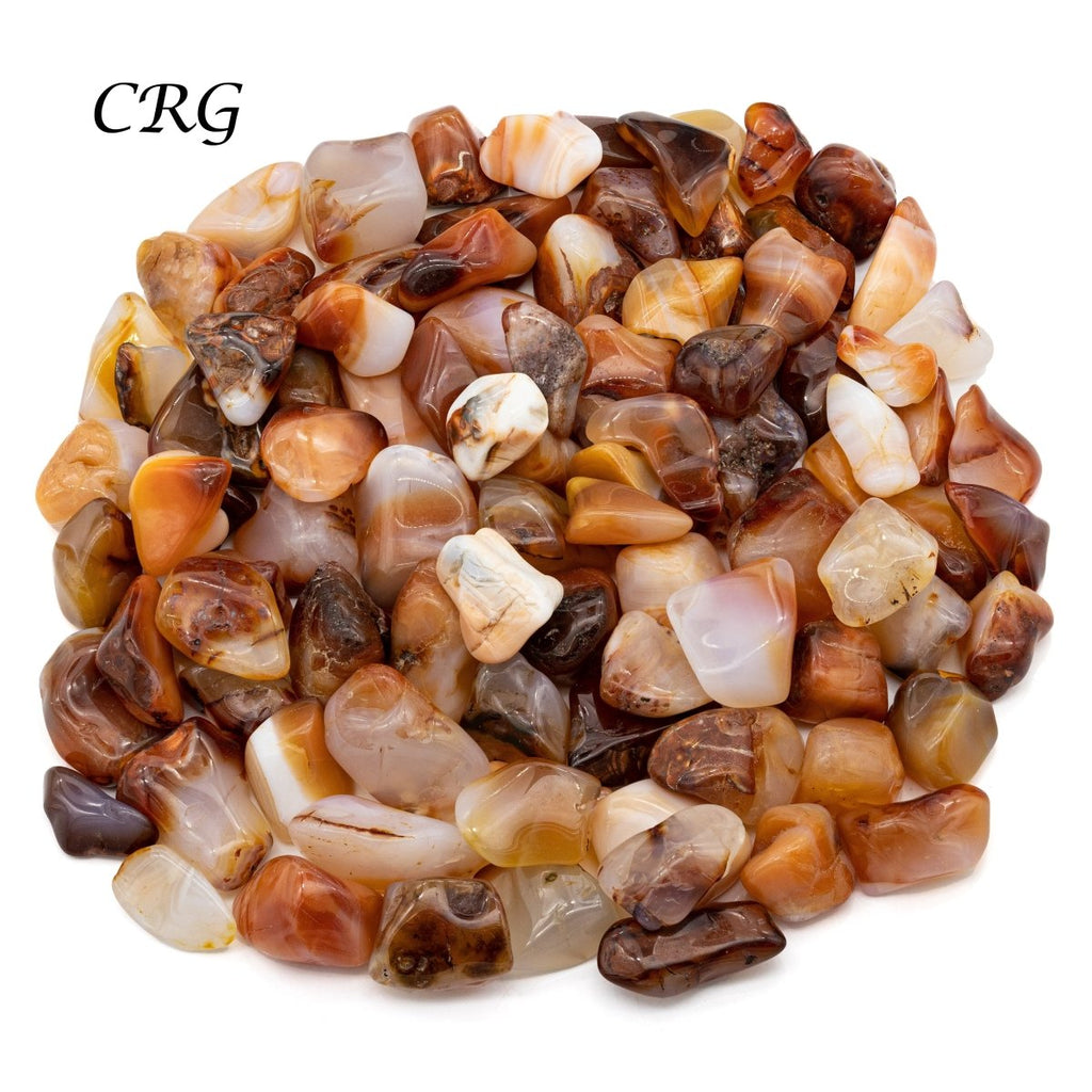 Tumbled Carnelian Agate (1-2 Inches) (1 Pound) Polished Crystal Wholesale Lot