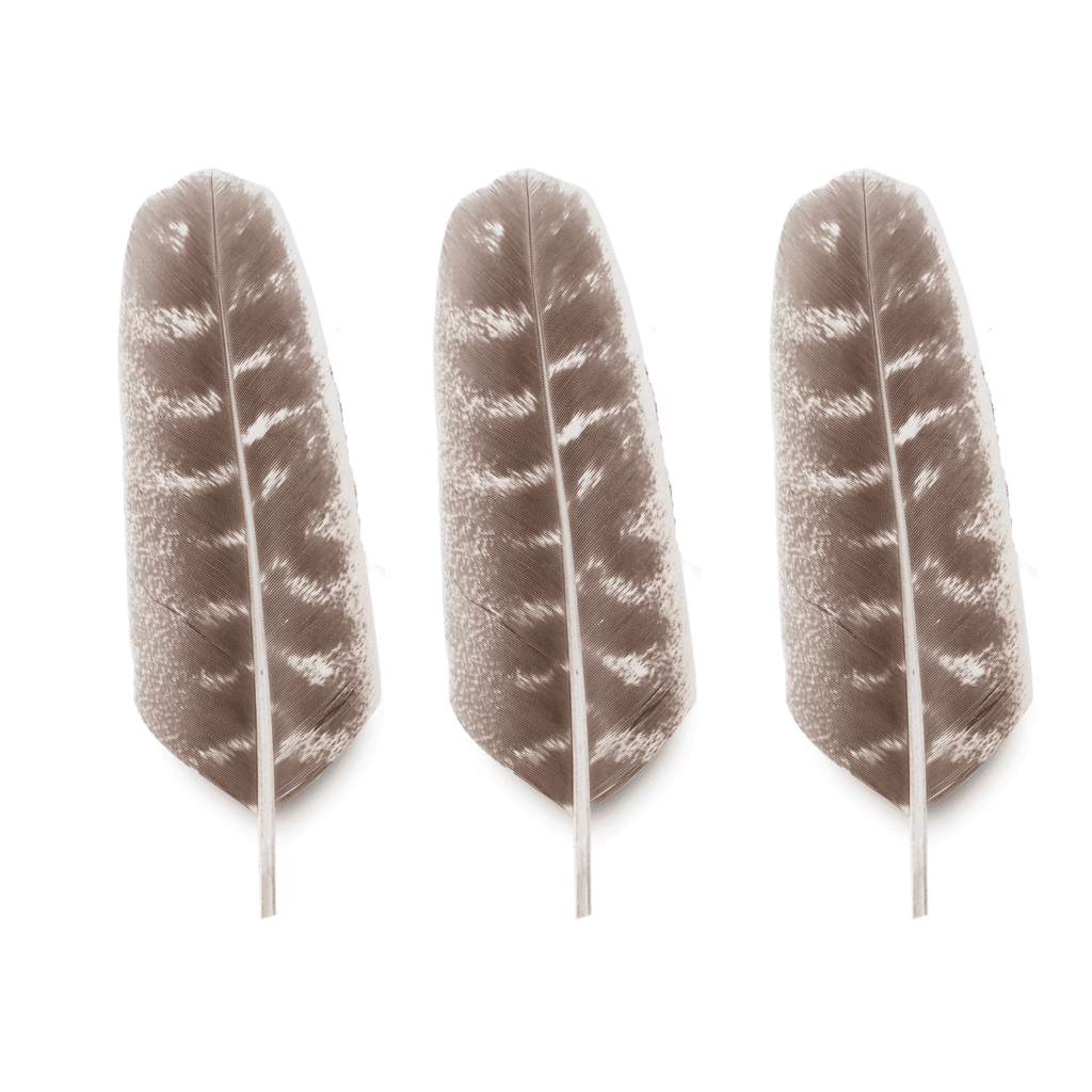 Turkey Smudge Feather | Turkey Feather | Wiccan Center