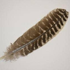 Turkey Smudge Feather | Turkey Feather | Wiccan Center