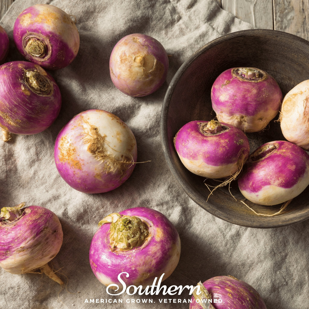 Purple Top White Globe Turnip – 250 Seeds | Seeds | Wiccan Center