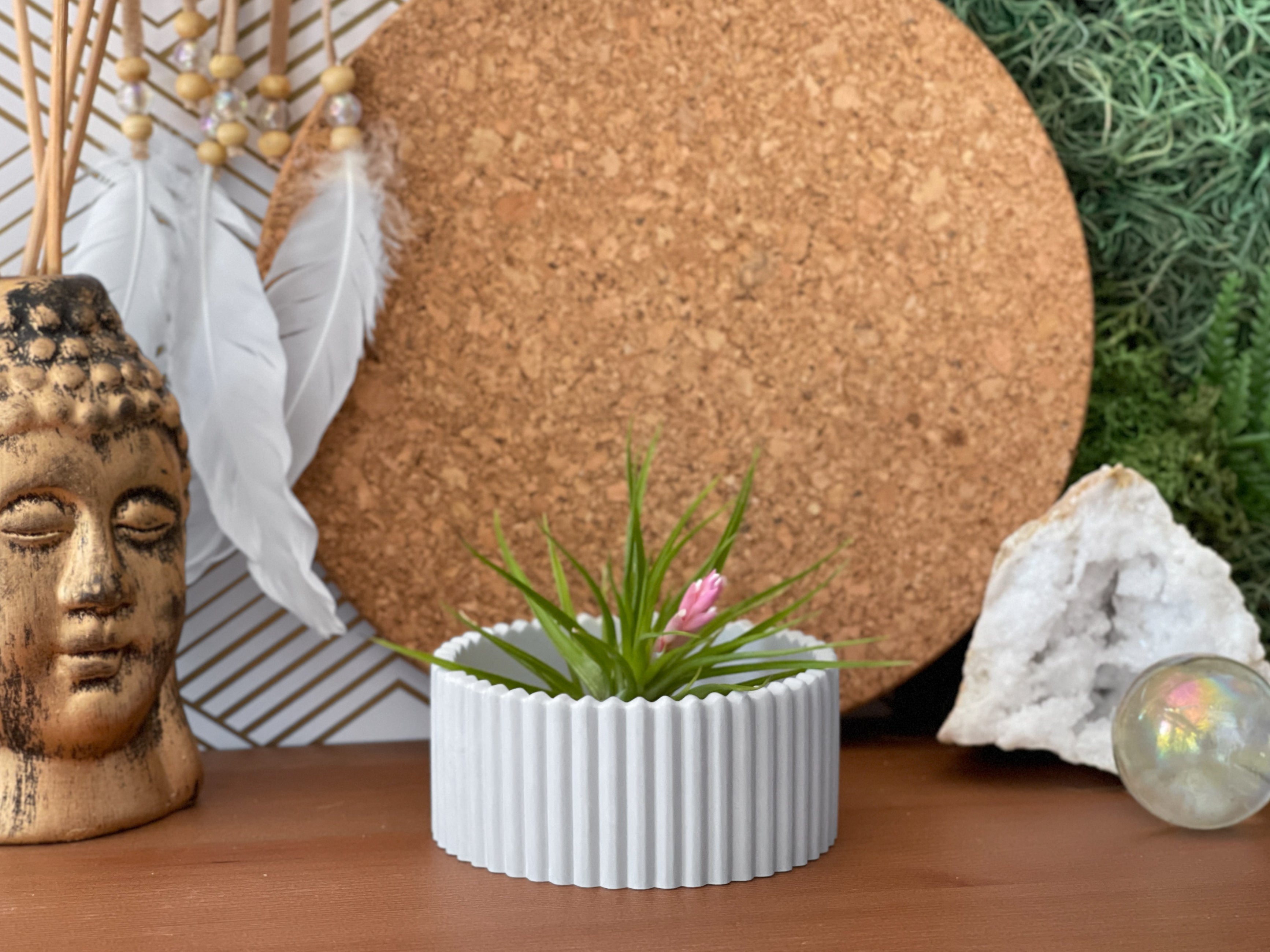 Scandinavian Air Plant Holder | Succulent Planter