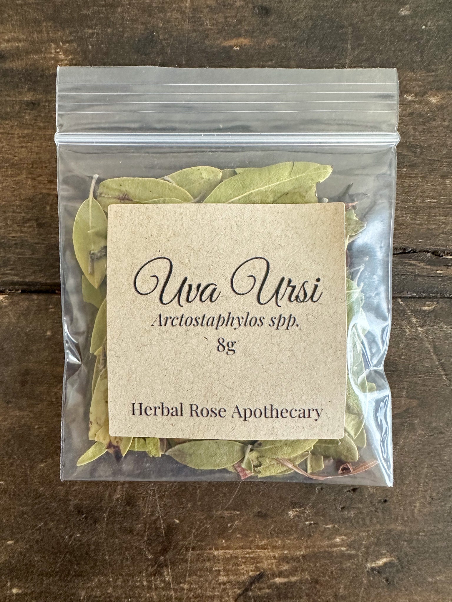 Uva Ursi