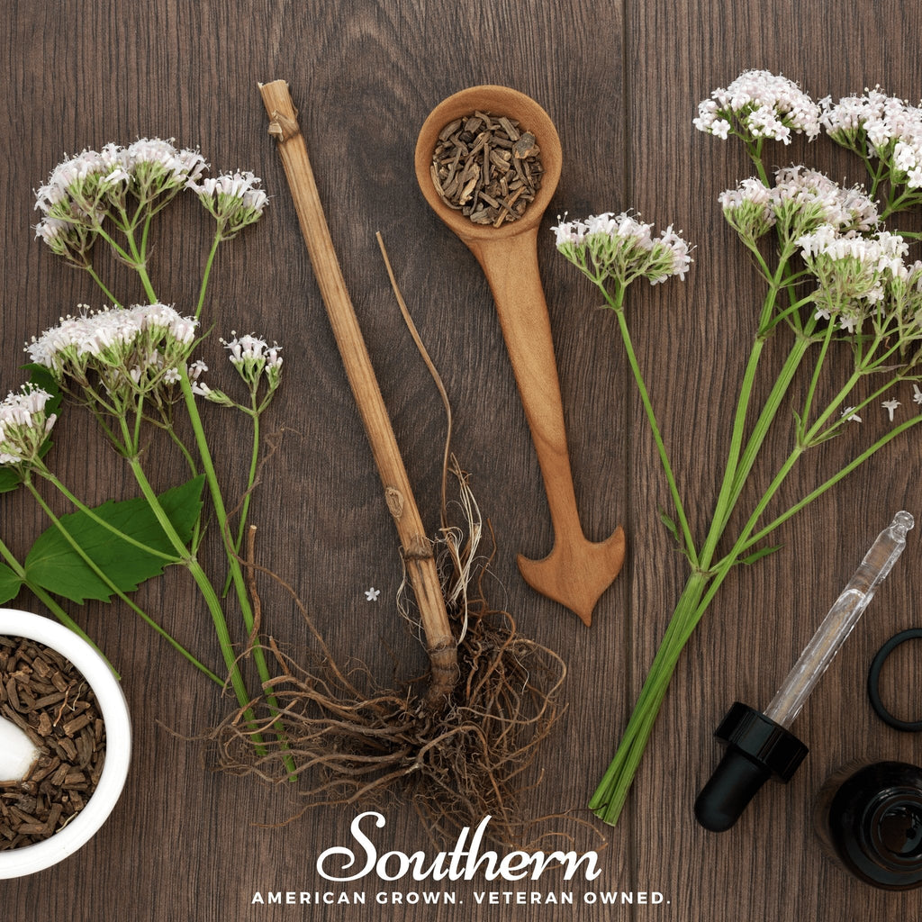 Valerian – 100 Seeds | Seeds | Wiccan Center