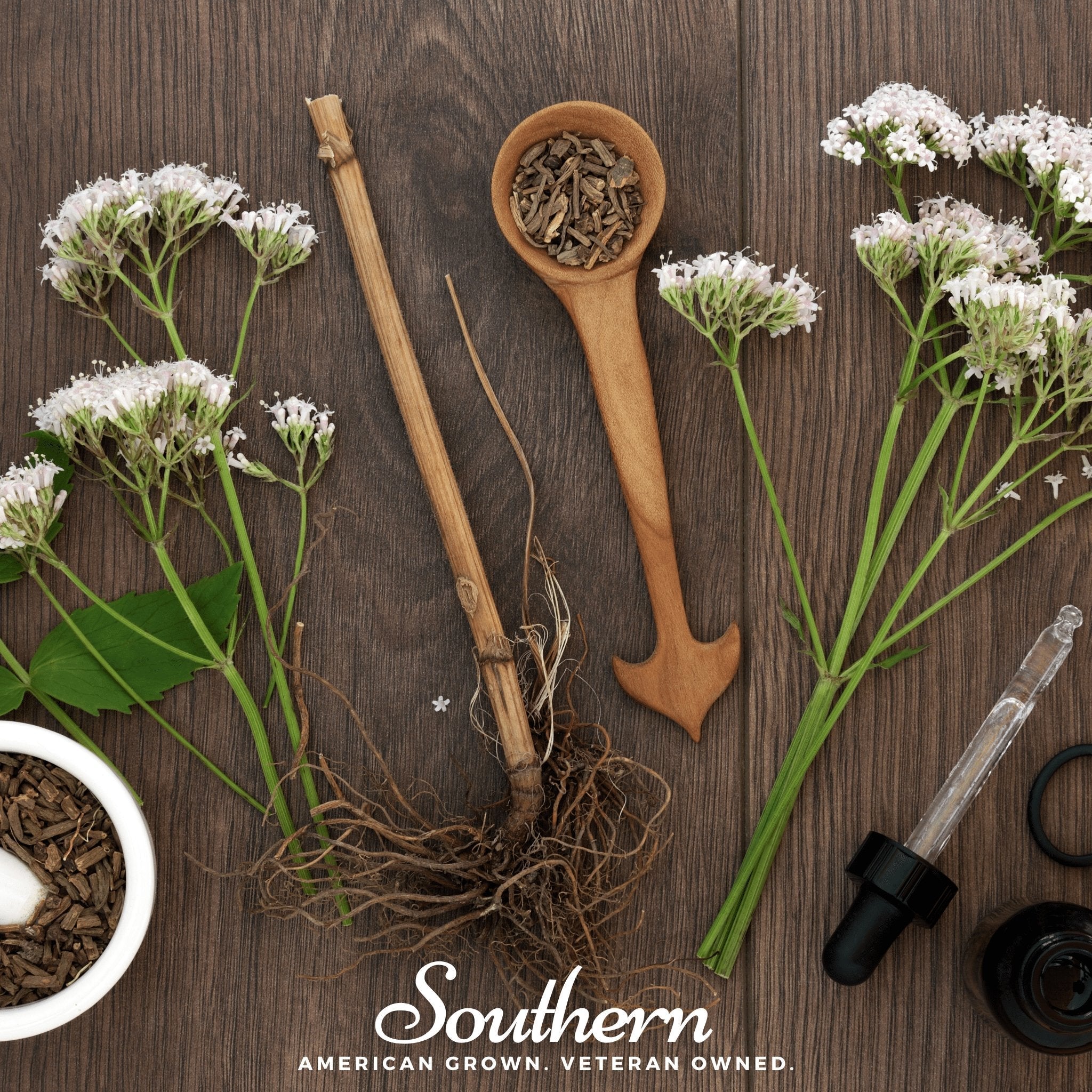 Valerian – 100 Seeds | Seeds | Wiccan Center